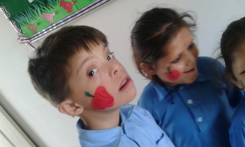 Our Work