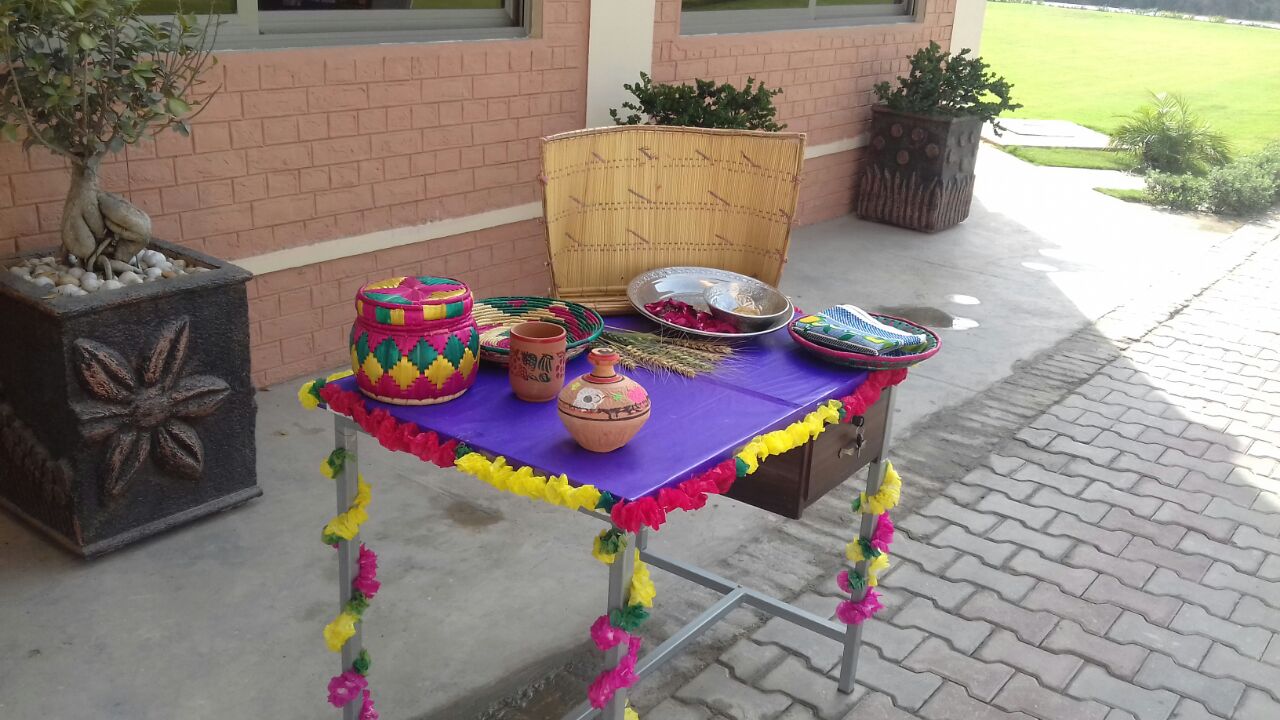 Our Work