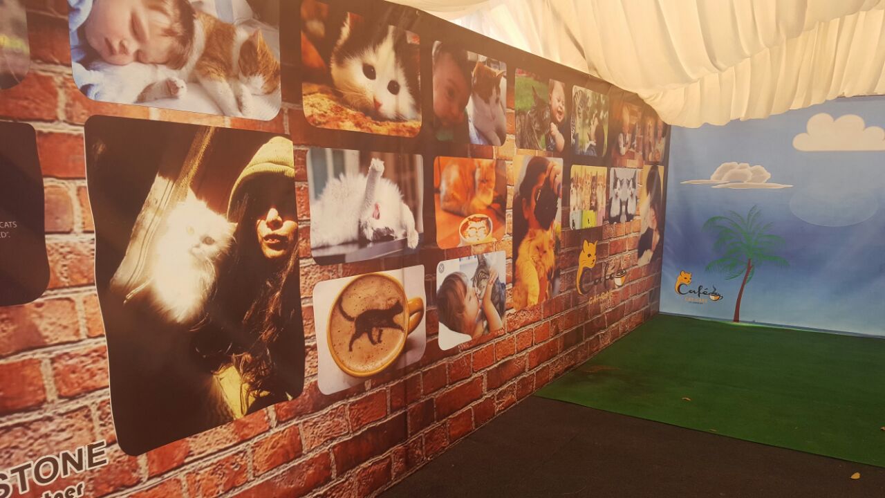 Our Work