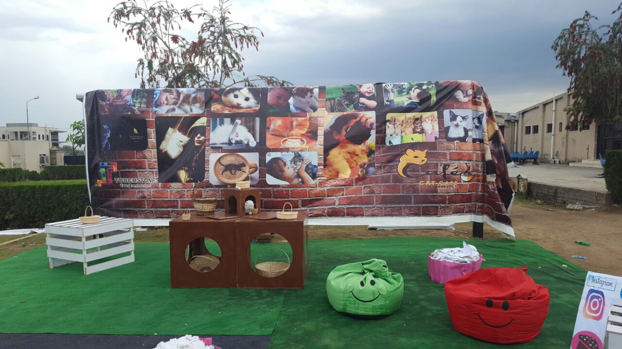 Our Work