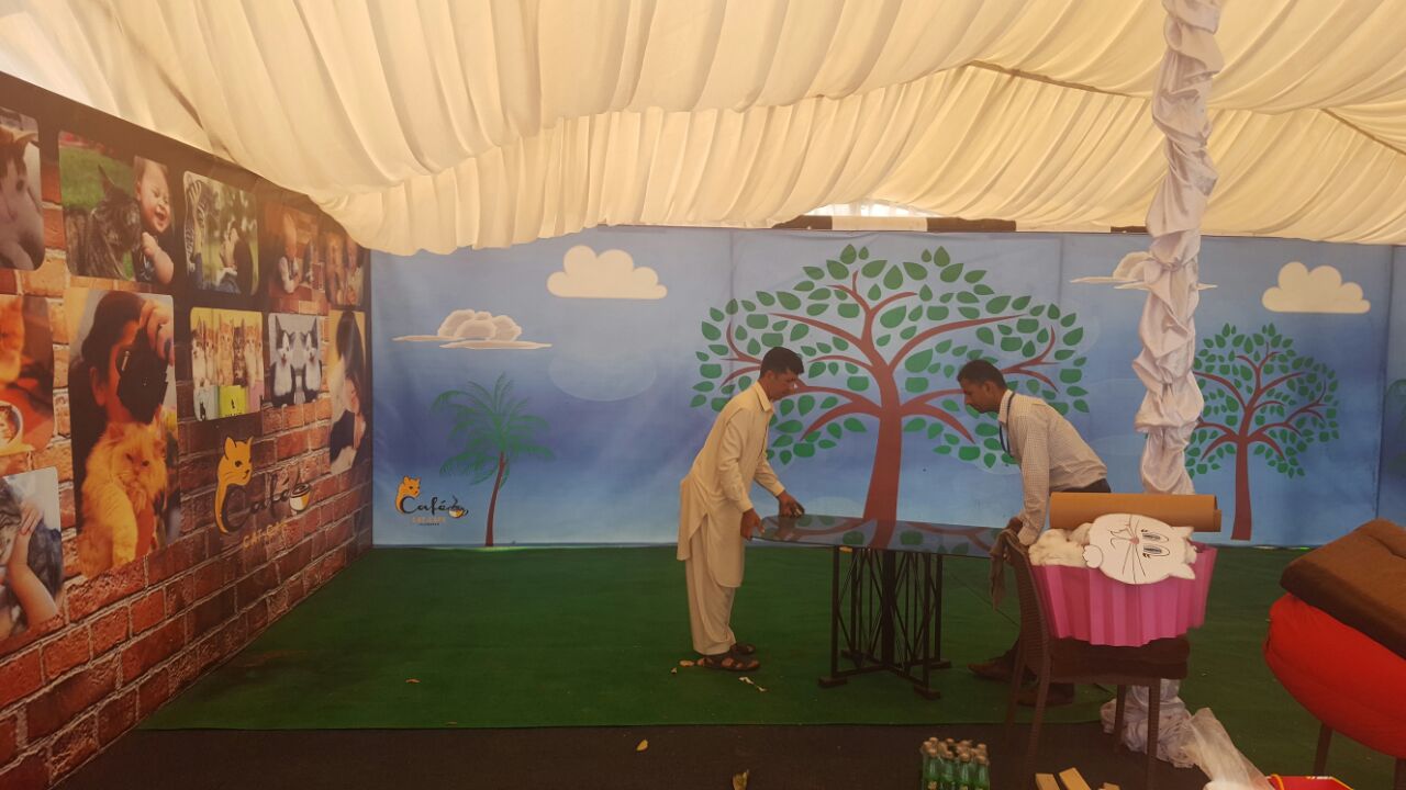 Our Work